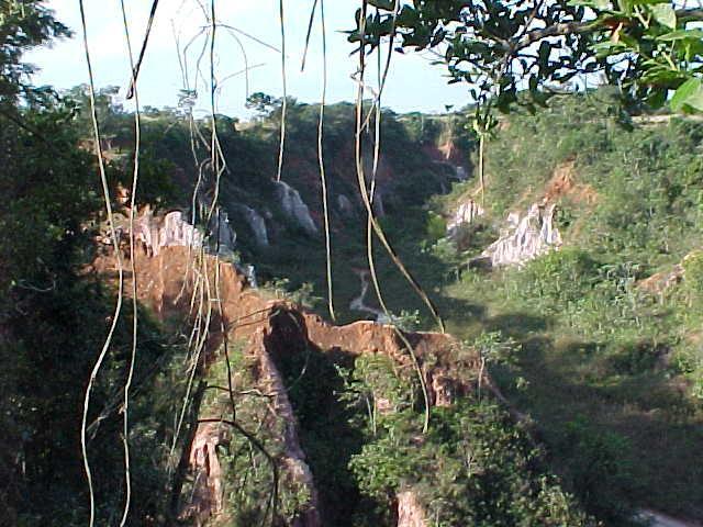Pousada Fazenda Buracao Mococa Exteriör bild