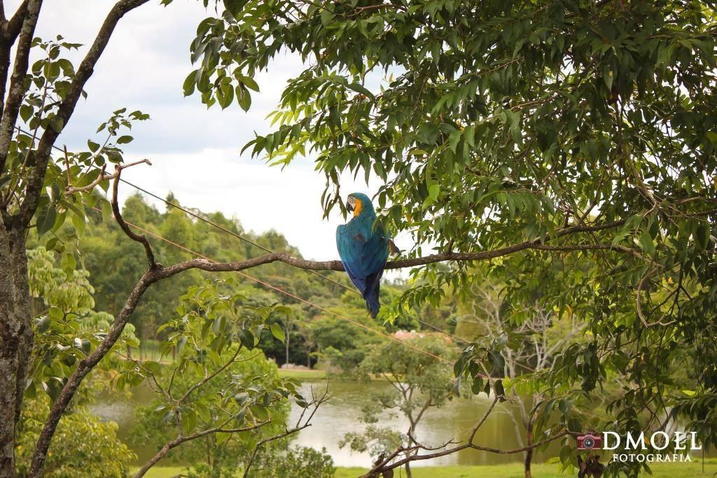 Pousada Fazenda Buracao Mococa Exteriör bild